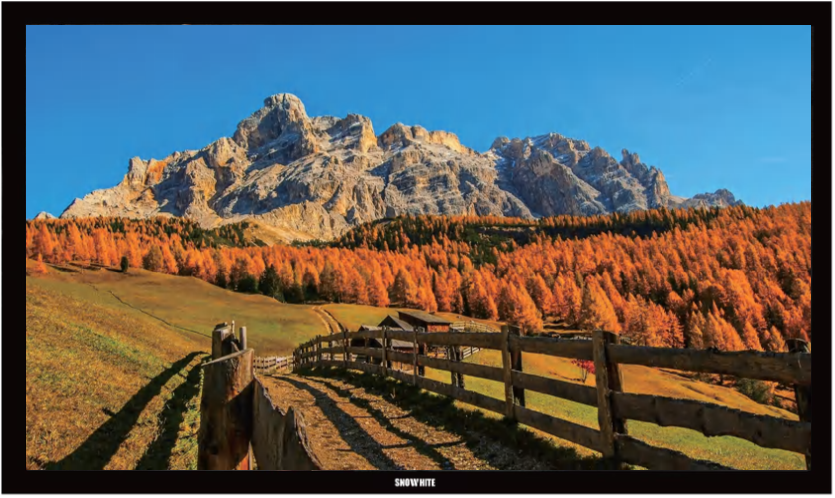MAZL SELECTION Ecran de projection Fixe 4K Transonore 120" 16:9